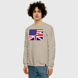Свитшот хлопковый мужской США и Великобритания, цвет: миндальный — фото 2