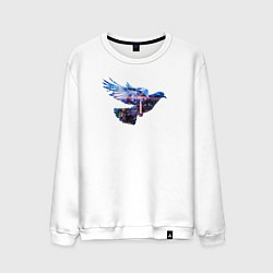 Мужской свитшот Голубь с ночным городом внутри