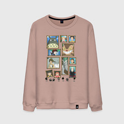 Свитшот хлопковый мужской Герои студии Ghibli, цвет: пыльно-розовый