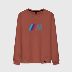 Мужской свитшот BMW logo sport