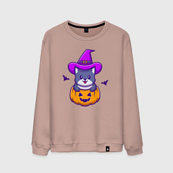 Свитшот хлопковый мужской Kitty halloween, цвет: пыльно-розовый