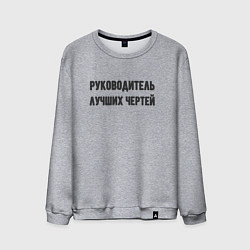 Свитшот хлопковый мужской Руководитель лучших чертей, цвет: меланж