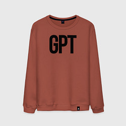 Мужской свитшот GPT
