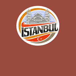 Свитшот хлопковый мужской Istanbul, цвет: кирпичный — фото 2