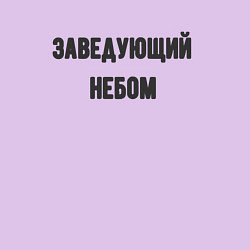 Свитшот хлопковый мужской Заведующий небом, цвет: лаванда — фото 2