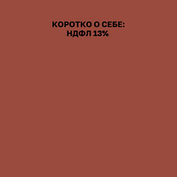 Свитшот хлопковый мужской НДФЛ 13 коротко о себе, цвет: кирпичный — фото 2