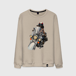 Свитшот хлопковый мужской Такса-байкер на мотоцикле, цвет: миндальный