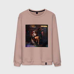 Мужской свитшот Салон красоты - Скелеты в шкафу