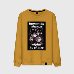 Мужской свитшот Human by chance, alpha by choice