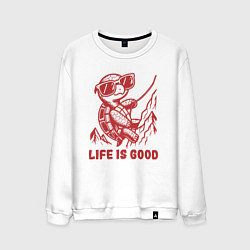 Мужской свитшот Забавная позитивная черепаха альпинист