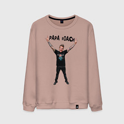 Мужской свитшот Papa Roach - Jacoby