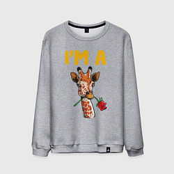 Свитшот хлопковый мужской Жираф с розой, цвет: меланж