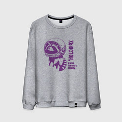 Мужской свитшот Грустный енот в космосе хьюстон у меня много пробл