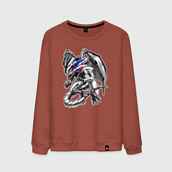 Свитшот хлопковый мужской BMW S100RR Drago, цвет: кирпичный
