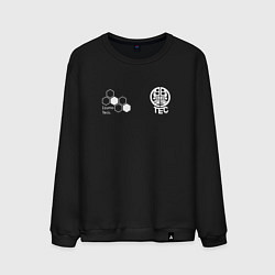 Мужской свитшот Izumo Tecs