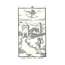 Свитшот хлопковый мужской Девятые врата Wasted breath keeps a secret Антихри, цвет: белый — фото 2