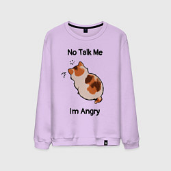 Мужской свитшот Обиженный котик - not talk to me am angry