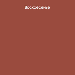Свитшот хлопковый мужской День недели воскресенье, цвет: кирпичный — фото 2