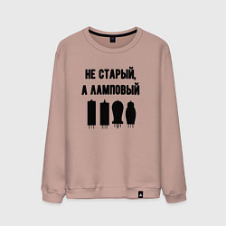 Мужской свитшот Не старый а ламповый