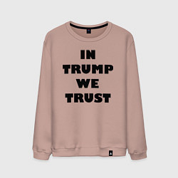 Мужской свитшот In Trump we trust - slogan