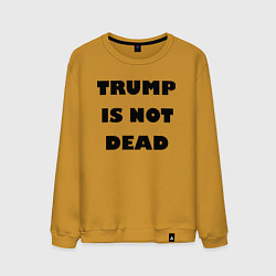 Мужской свитшот Trump is not dead - motto