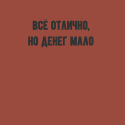 Свитшот хлопковый мужской Всё отлично но денег мало, цвет: кирпичный — фото 2