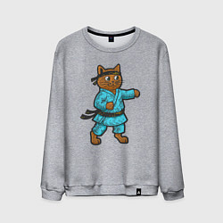 Мужской свитшот Кот каратист