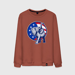 Мужской свитшот USA elephant