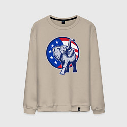 Мужской свитшот USA elephant