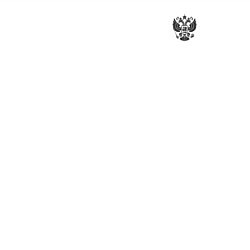 Свитшот хлопковый мужской Герб Святой Руси на узорном царском флаге, цвет: белый — фото 2