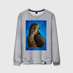 Свитшот хлопковый мужской Портрет футбольного сокола, цвет: меланж