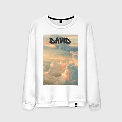 Мужской свитшот David облака