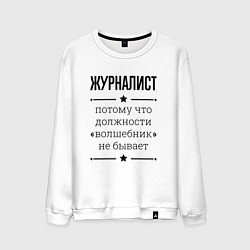 Мужской свитшот Журналист должность волшебник