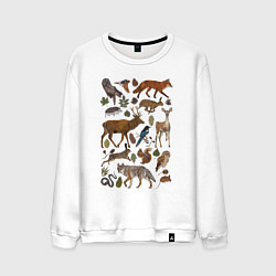 Свитшот хлопковый мужской Лесные животные и птицы, цвет: белый