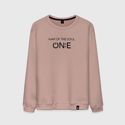Мужской свитшот BTS One