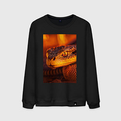 Свитшот хлопковый мужской Огненная змея, цвет: черный