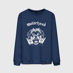 Мужской свитшот Motorhead rock dog