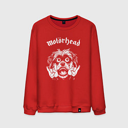 Мужской свитшот Motorhead rock dog