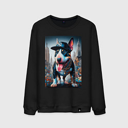 Свитшот хлопковый мужской Funny bull terrier in New York - ai art, цвет: черный