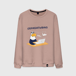 Мужской свитшот Орел обработка фотографии