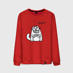 Свитшот хлопковый мужской Котик вау, цвет: красный