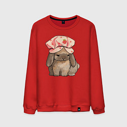 Мужской свитшот Кролик в шапке