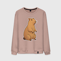 Мужской свитшот Звери капибара