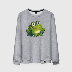 Свитшот хлопковый мужской Смешная жаба, цвет: меланж