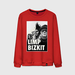 Мужской свитшот Limp Bizkit all