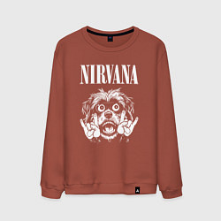 Мужской свитшот Nirvana rock dog