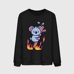 Свитшот хлопковый мужской Пожар у коалы, цвет: черный