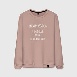 Мужской свитшот Икай сука