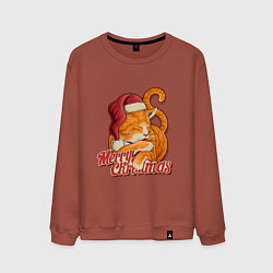 Мужской свитшот Новогодний рыжий котик