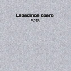 Свитшот хлопковый мужской Lebedinoe ozero, цвет: меланж — фото 2